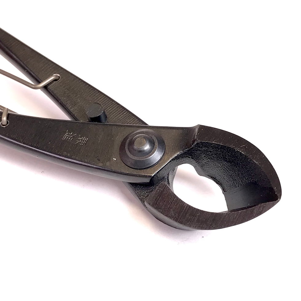 Miniature : PINCE à BRANCHE 205 mm Acier Carbone Ressort de torsion KANESHIN  N°3B