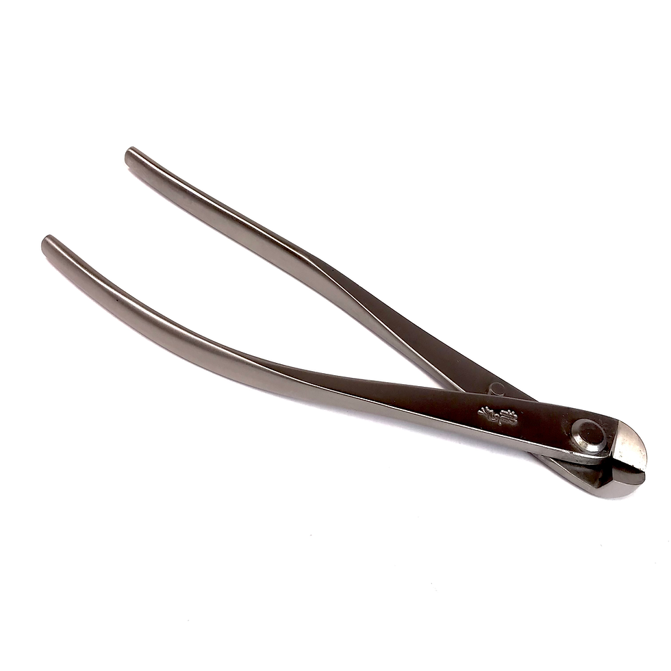 Miniature : PINCE à FILS 180 mm en INOX RYUGA