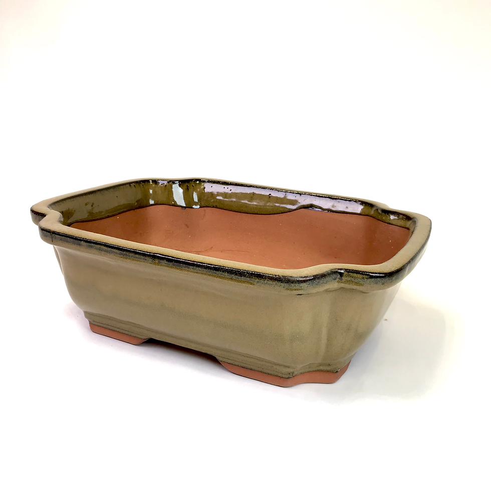 Miniature : 37 x 29 x 11 cm Verte