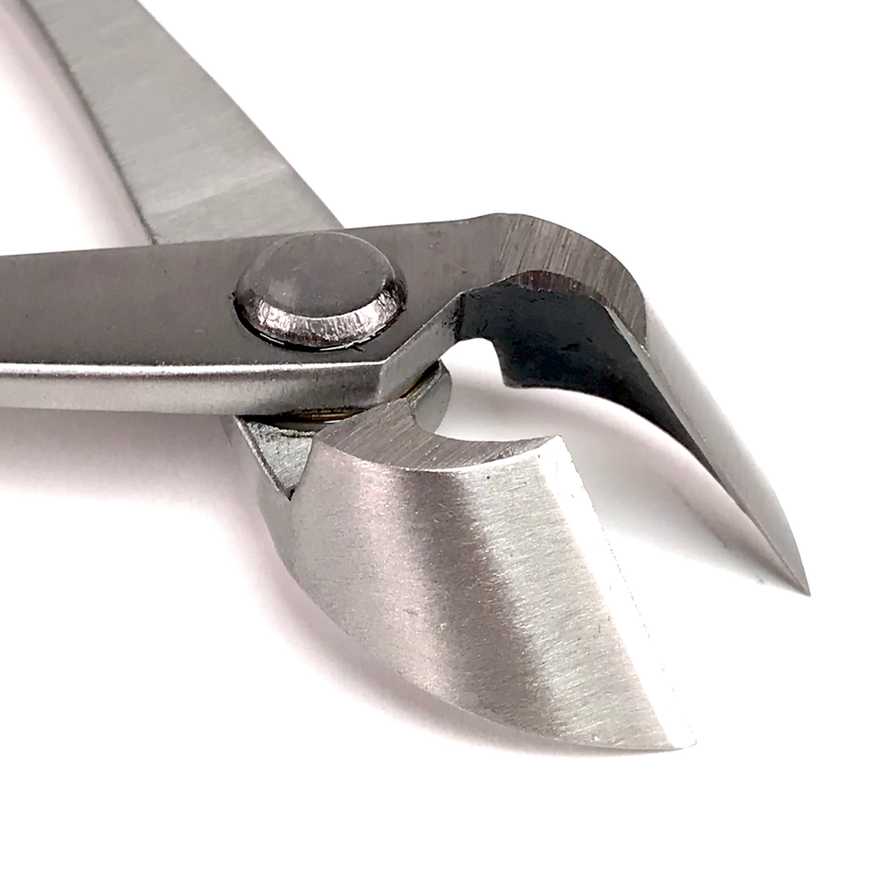 Miniature : PINCE à BRANCHES CONCAVE  165-170 mm INOX  RYUGA