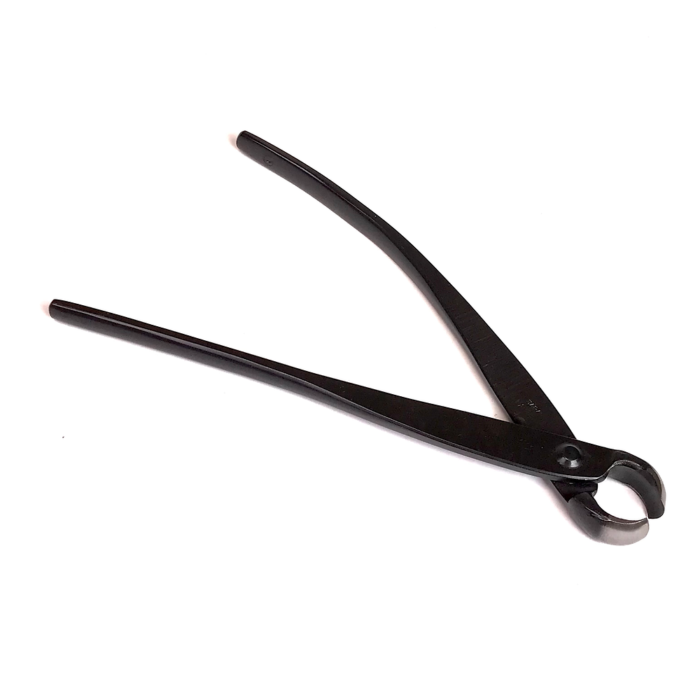 Miniature : PINCE à OEIL 175 mm Acier Carbone "BLACK"  KANESHIN  N°10