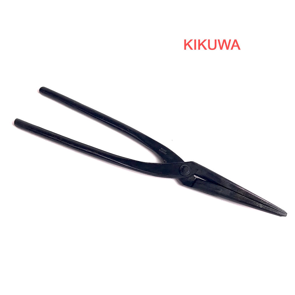 PINCE à JIN 235 mm Japonaise KIKUWA