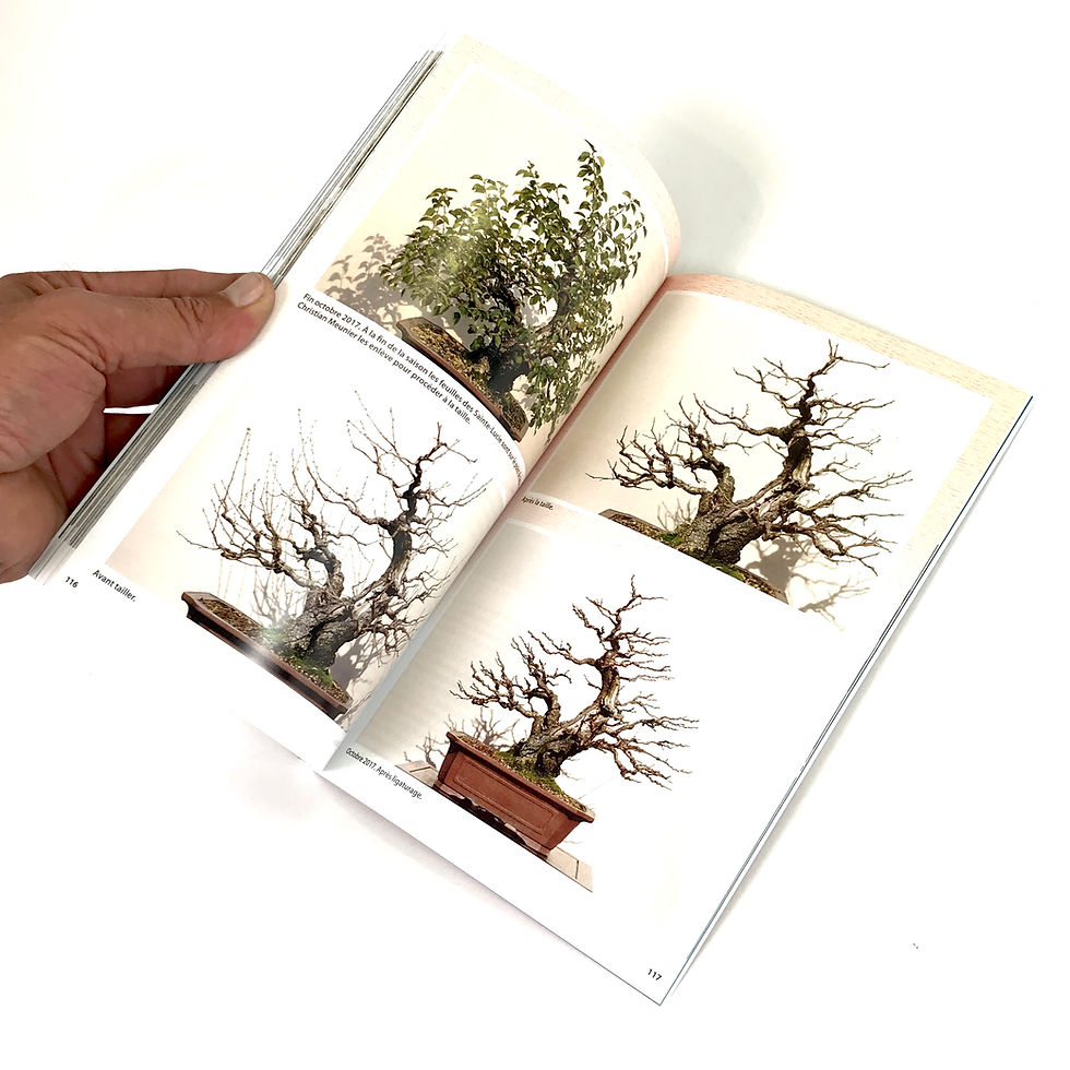 Miniature : Cerisier de Sainte-Lucie - 125 pages en français