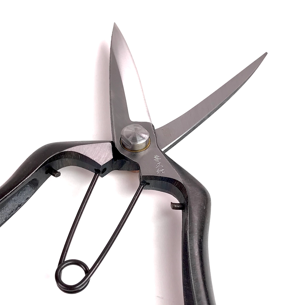 Miniature : CISEAUX SECATEUR Professionnel 230 mm Japonais KIKUWA
