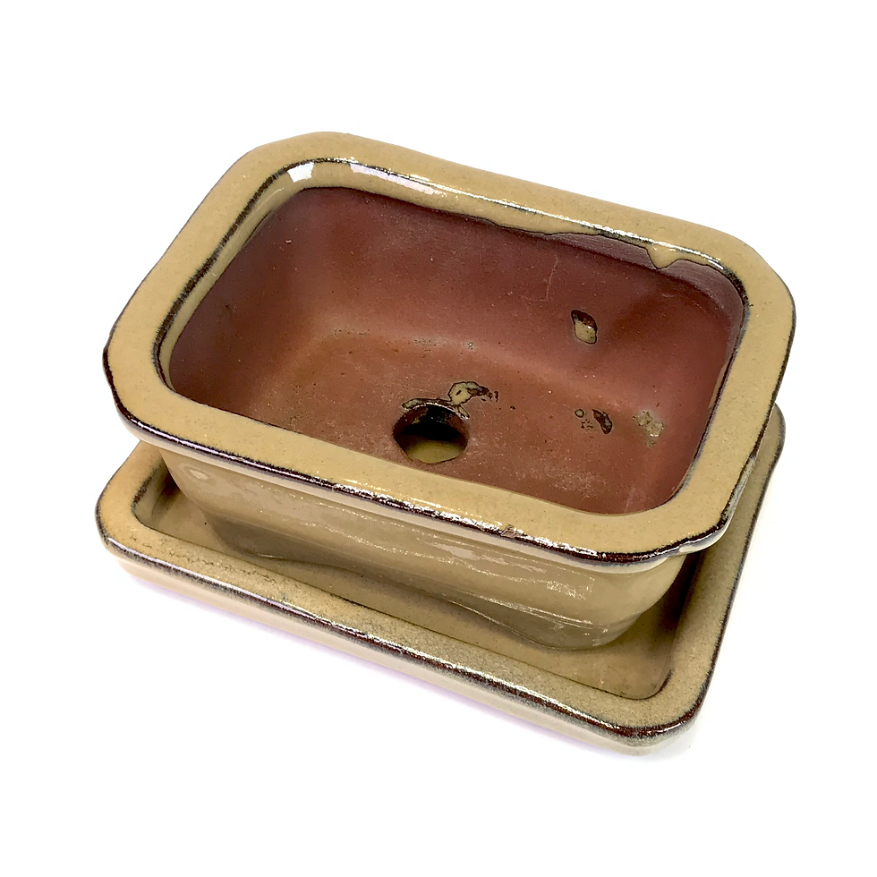 Miniature : 13 x 10 x 5 cm Verte inclus soucoupe