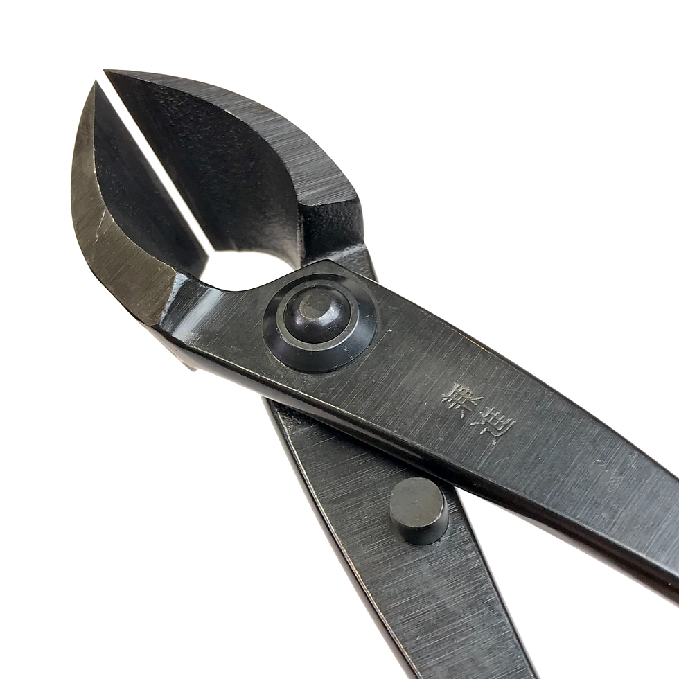 Miniature : PINCE à BRANCHE 205 mm Acier Carbone  KANESHIN  N°3A