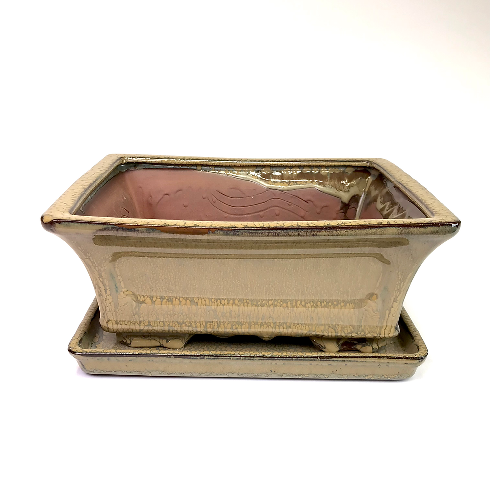 Miniature : 27 x 21 x 11 cm Verte Soucoupe collée au pot. Grilles et cables inclus