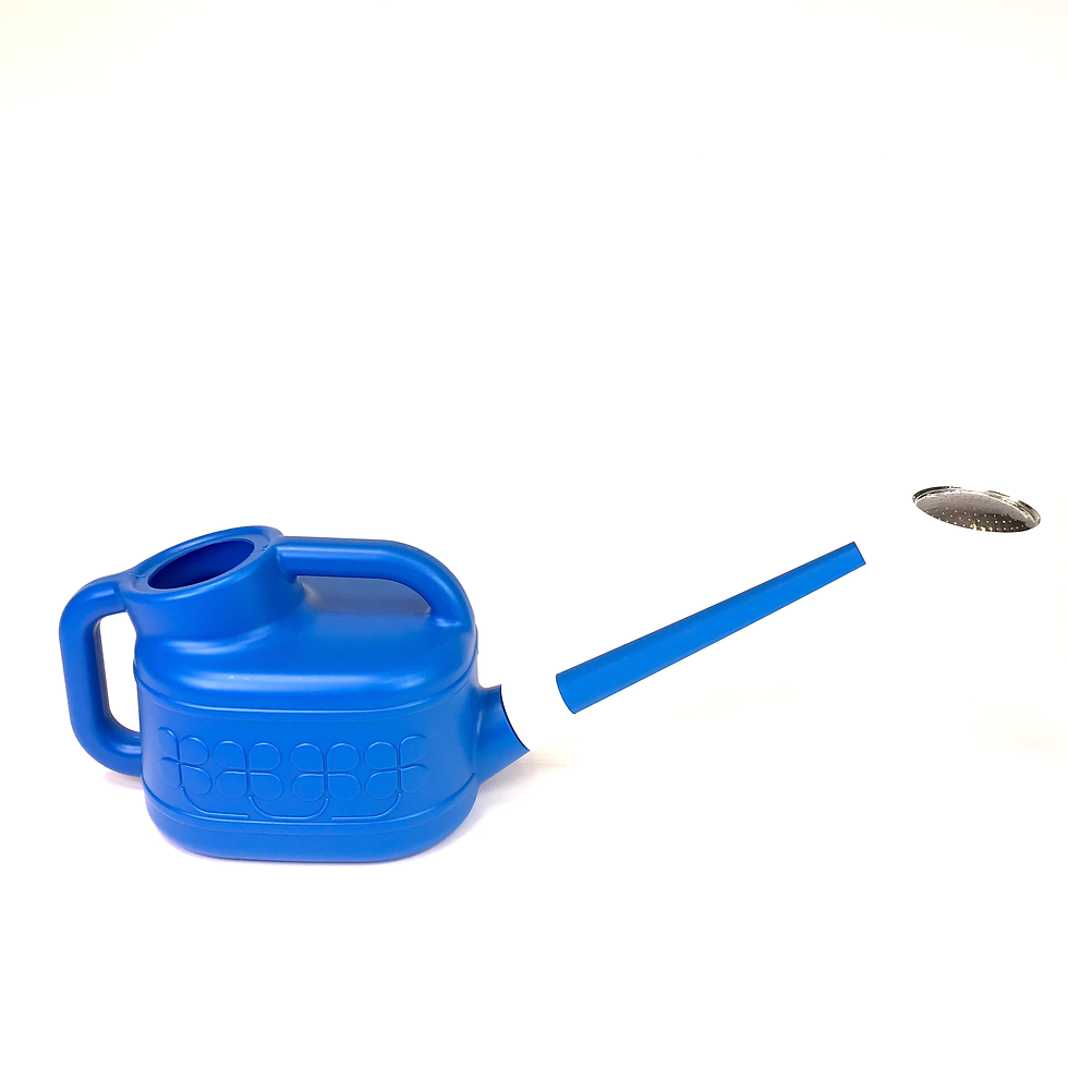 ARROSOIR plastique 4 litres