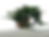 Miniature : JUNIPERUS Sabina 70 cm YAMADORI    X46