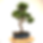 Miniature : MYRTHE commune 14 ans de 56 cm de hauteur  X84