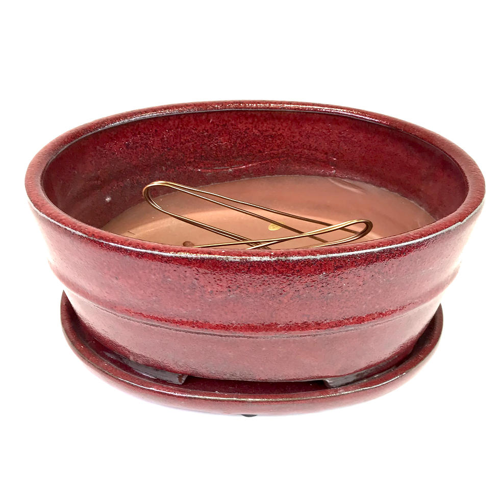 Miniature : 27 x 20 x 12 cm Rouge Soucoupe collée au pot. Grilles et cables inclus