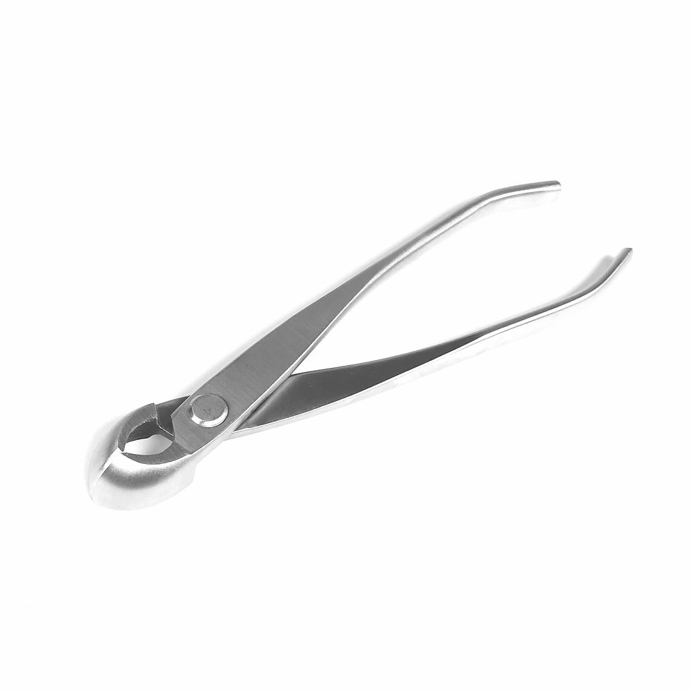 Miniature : PINCE à BRANCHES SPHÉRIQUE 180 mm  INOX RYUGA