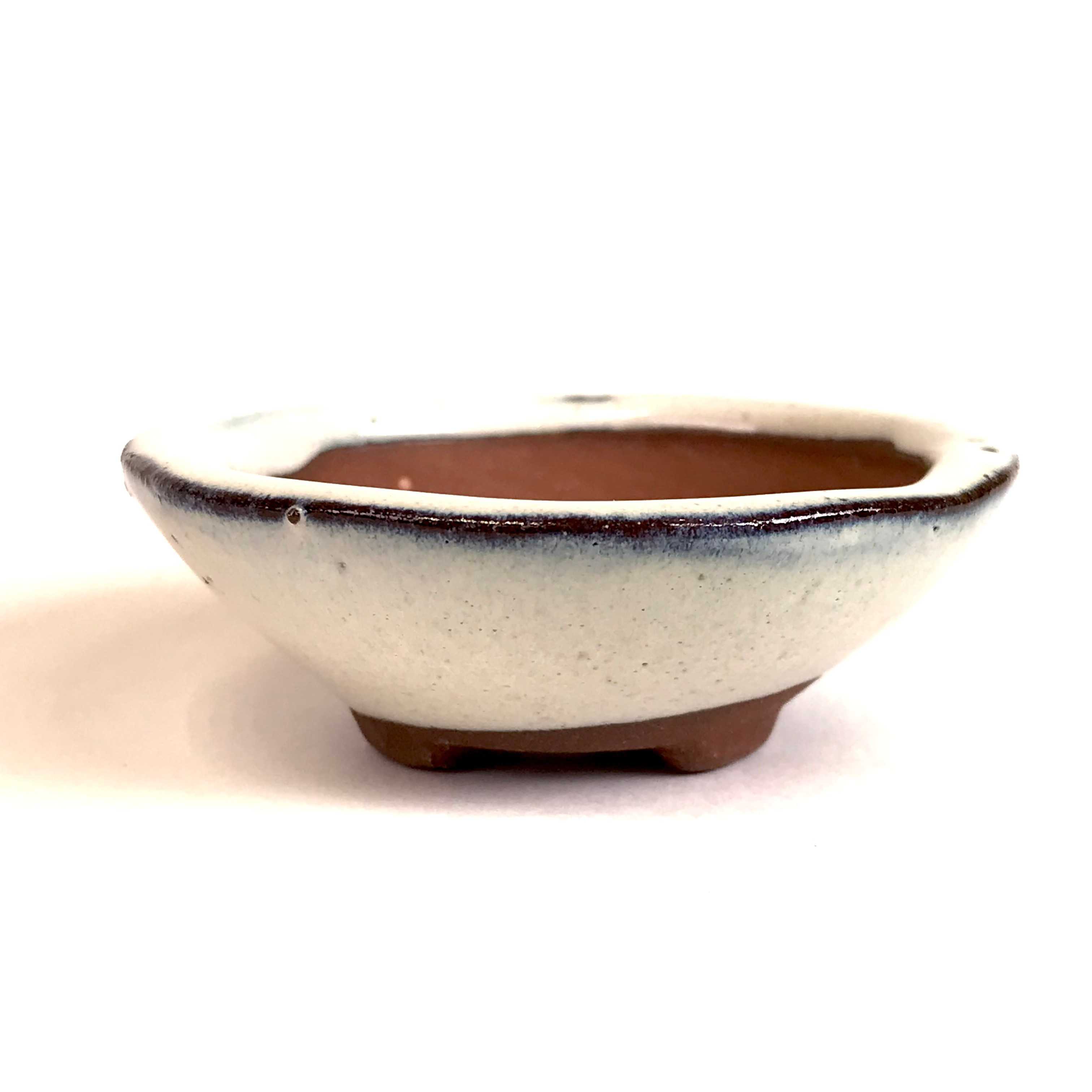 06 x 6 x 2 cm Ivoire