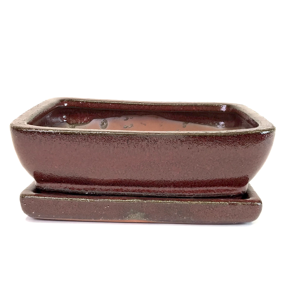 Miniature : 21 x 16 x 7 cm Rouge inclus soucoupe