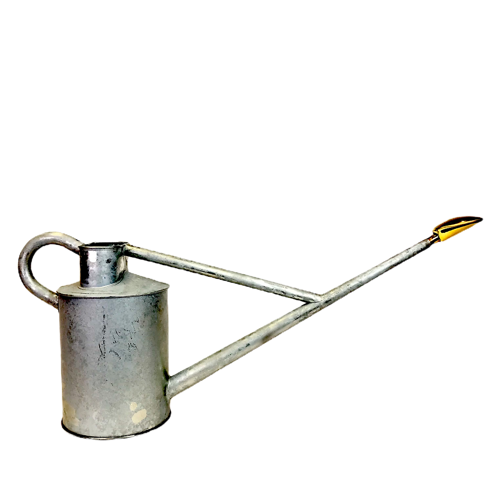 ARROSOIR en ZINC HAWS de 9 litres Professionnel