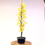 Miniature : GINKGO Biloba ARBRE aux 40 écus 12-13 ans de 80 cm de hauteur   A70
