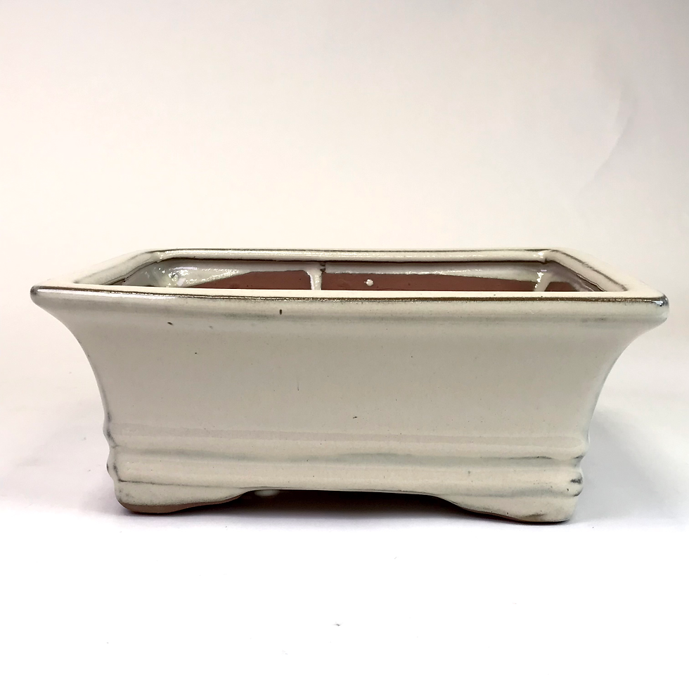 Miniature : 21 x 16 x 9 cm Ivoire