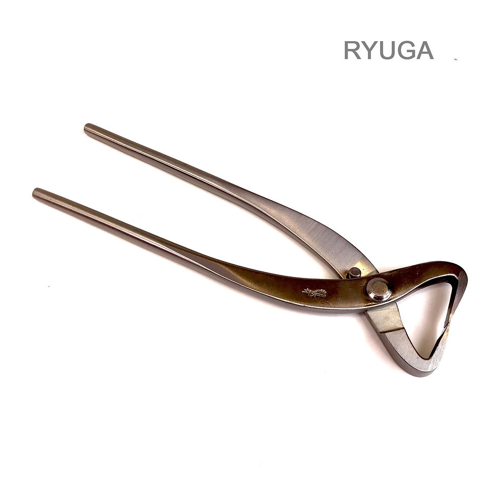PINCE À FENDRE 205 mm INOX RYUGA