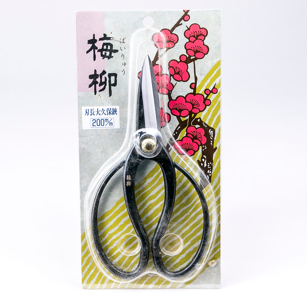 Miniature : CISEAUX de PAUME 200 mm Japonais en Acier Carbone 200 mm