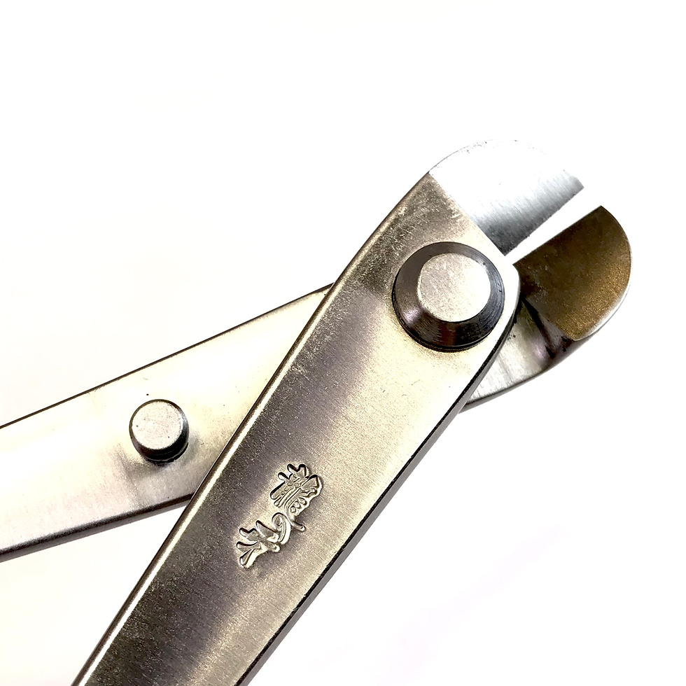 Miniature : PINCE à FILS 210 mm en INOX RYUGA