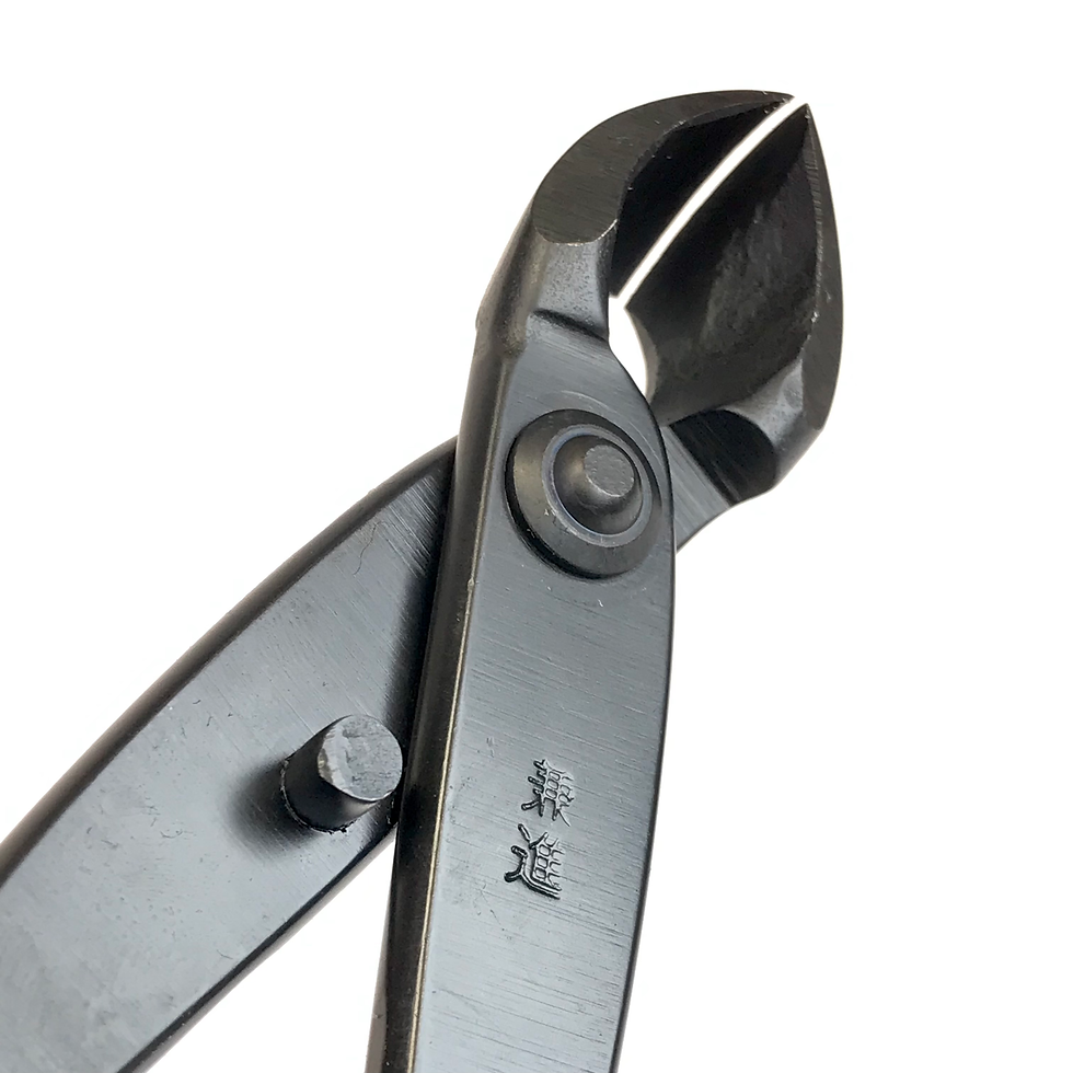 Miniature : PINCE à BRANCHE SPHÉRIQUE 165 mm Acier Carbone  KANESHIN  N°4S