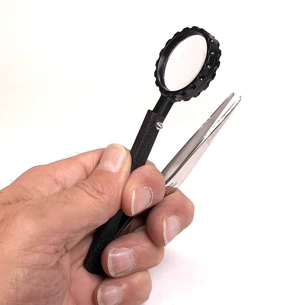 Miniature : LOUPE PINCETTE de PRÉCISION 24 cm Japonaise KANESHIN  N°665
