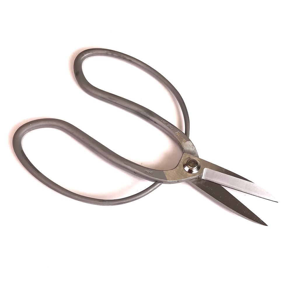 Miniature : CISEAUX DE PAUME 185 mm  Inox  KANESHIN N°831A