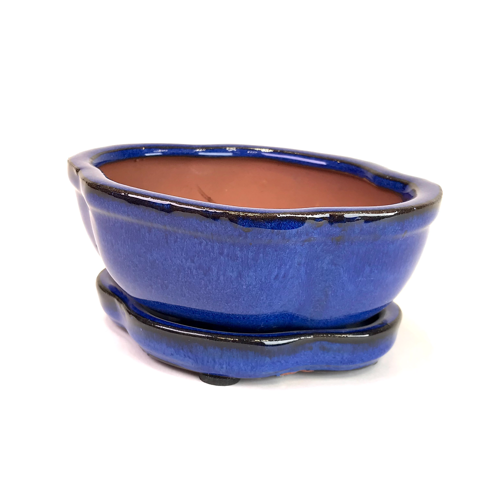 Miniature : 15 x 13 x 7 cm Bleu Soucoupe collée au pot. Grilles et cables inclus