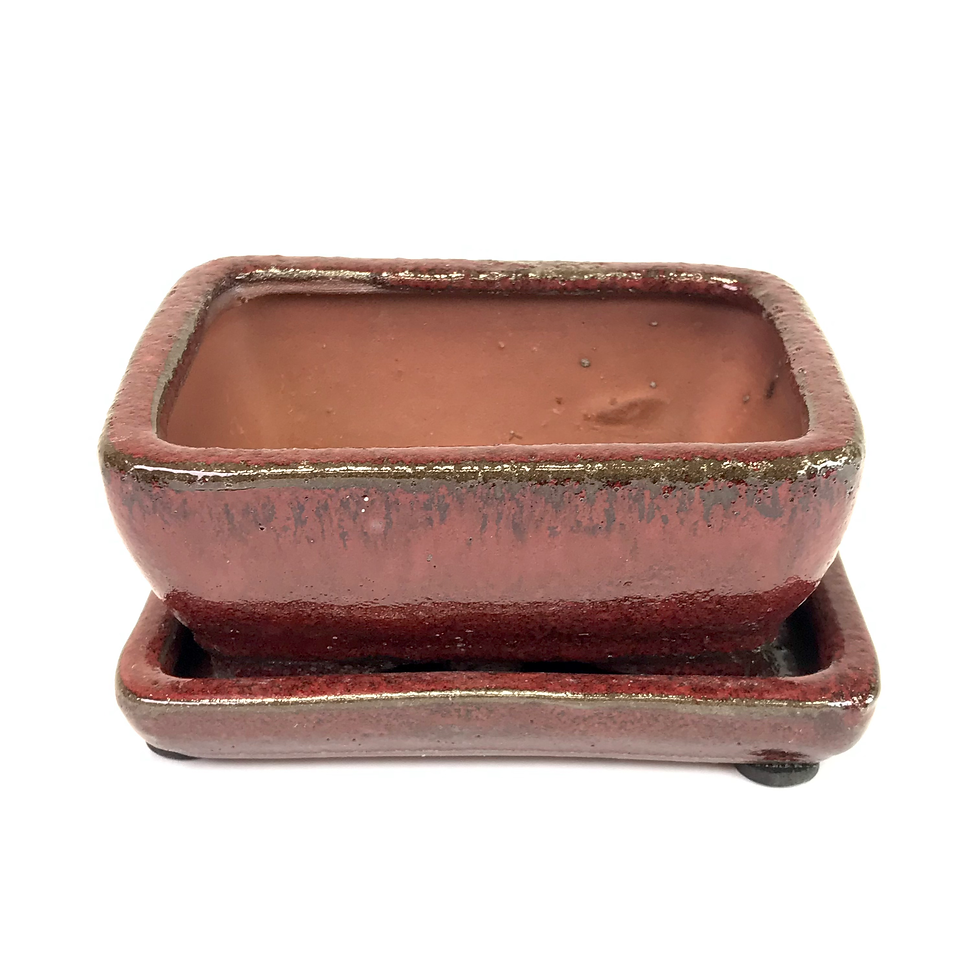 Miniature : 13 x 9 x 5 cm Rouge inclus soucoupe