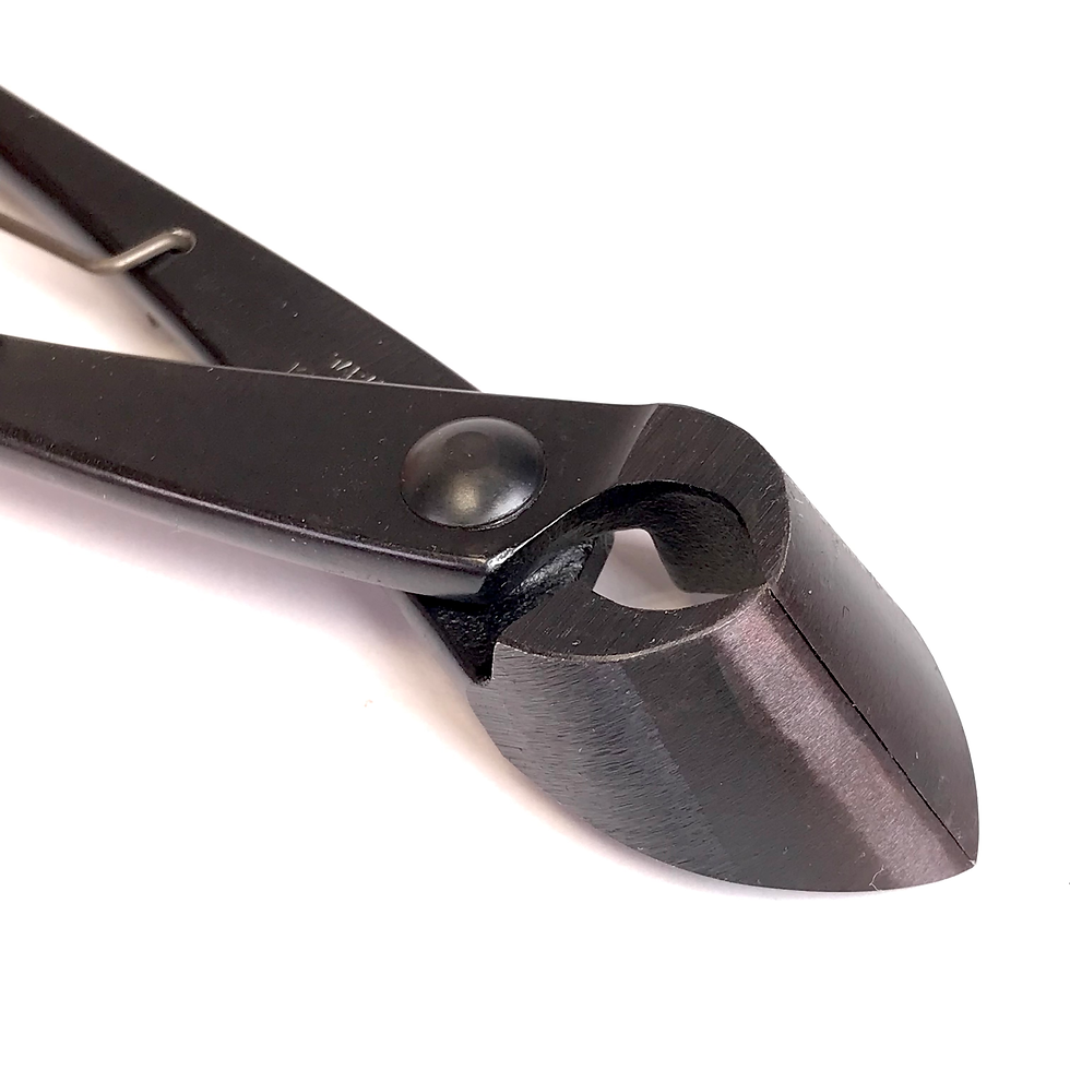 Miniature : PINCE à BRANCHE 205 mm Acier Carbone Ressort de torsion KANESHIN  N°3B