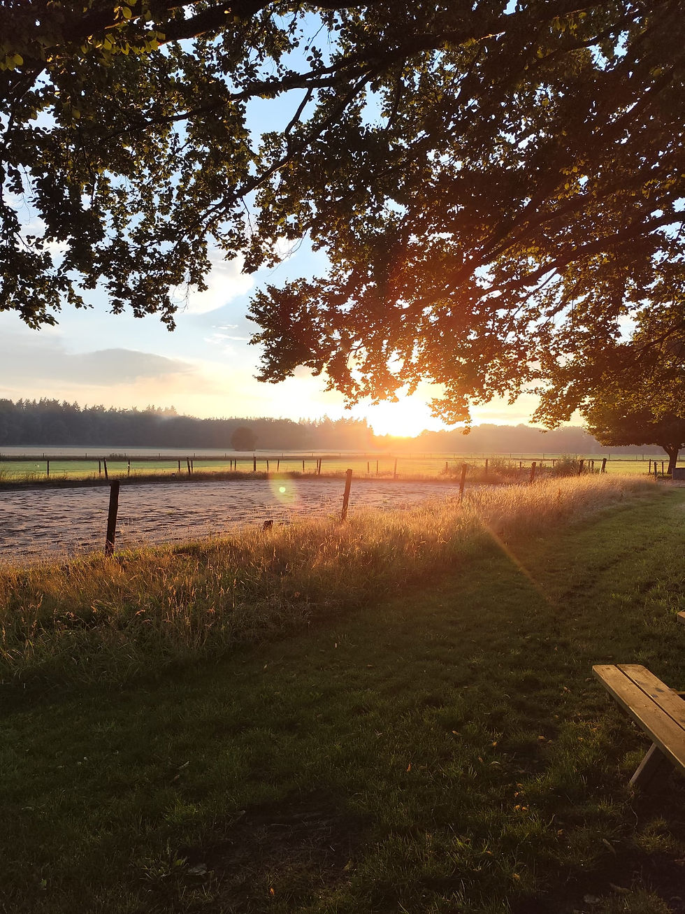 WhatsApp Image 2026-01-07 at 19.14.00 (7)