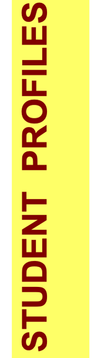 profile title.png