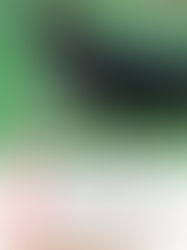 Raising a Well-Balanced German Shepherd: Why Every Life Stage Matters