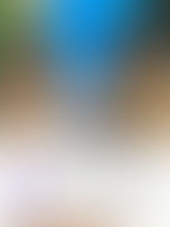 Should You Choose a Male or Female German Shepherd?