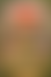 Guided by Wokeismo-Snowflakismo