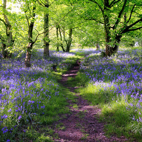 Spring into spring 