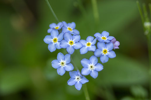 AdobeStock_205763706.jpeg