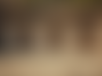 Beginner's Guide to Firearms Training Courses