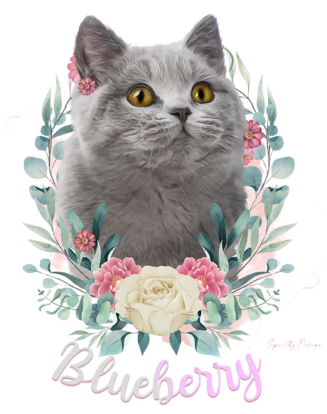 Blueberry 1_edited.png