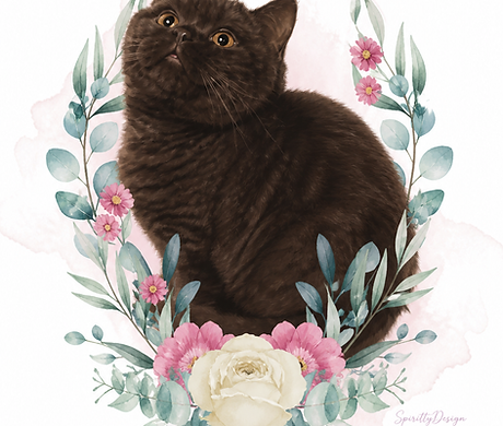file_0000000027bc71fa810a617bc75f28da.png