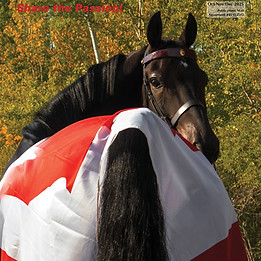 CMHA Magazine Oct-Nov-Dec 2025 - cover.jpg