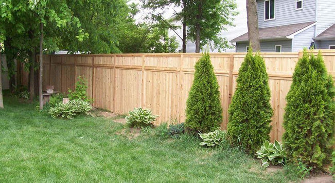 Wooden fence with green shrubs and garden