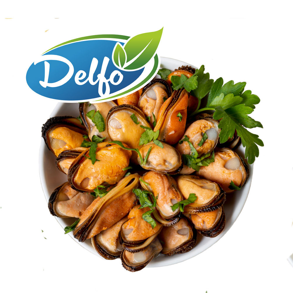 Delfo – Gewaschene Venusmuscheln