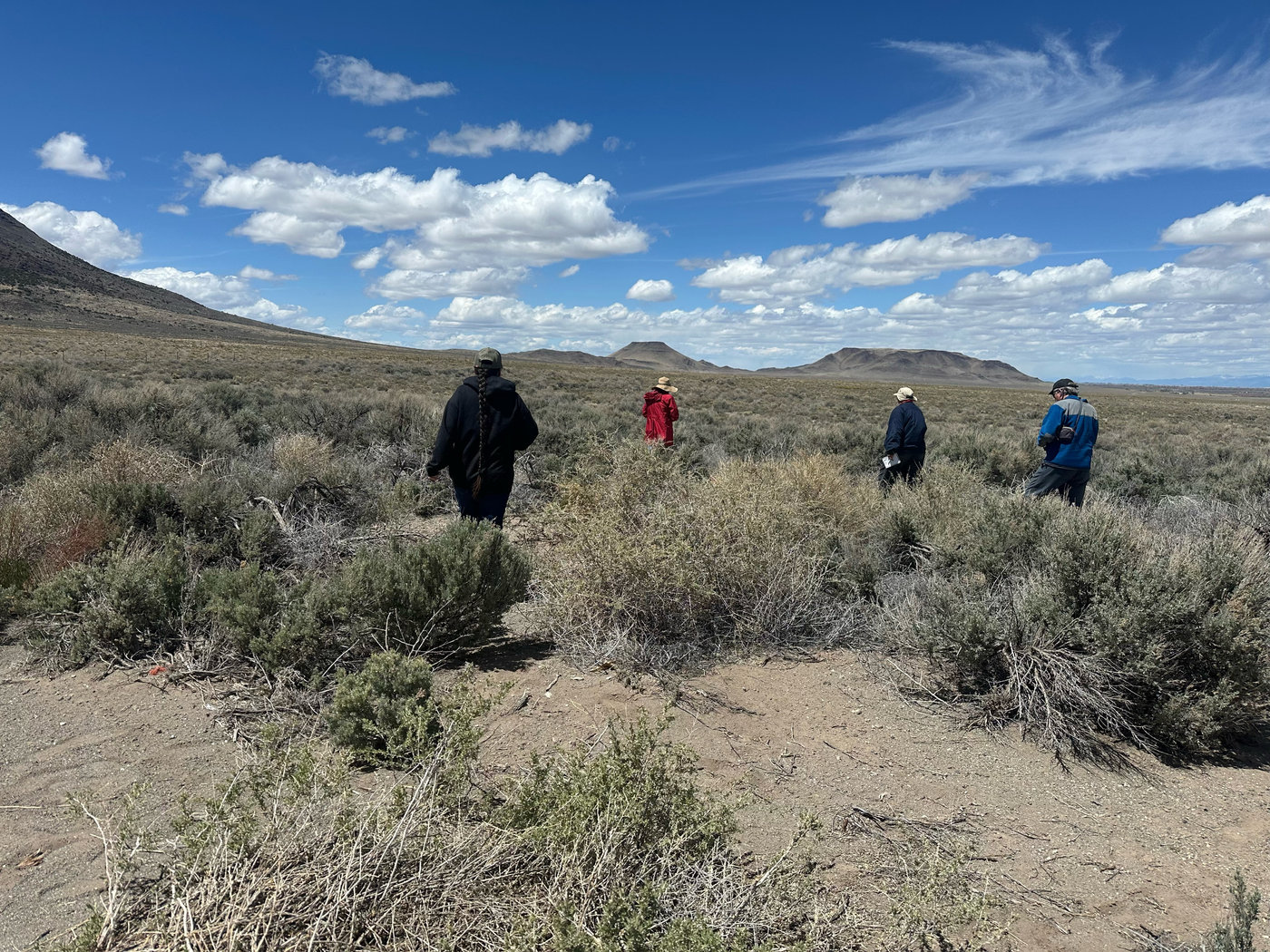 May 2026 Newsletter