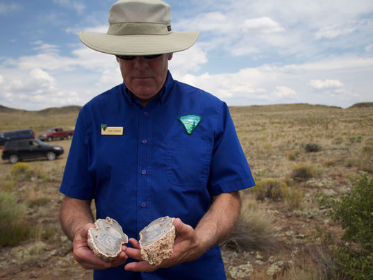 A BLM employee, dressed in a blue button-down shirt, looks at a geode on a Rio Grande corridor tour in the San Luis Valley.