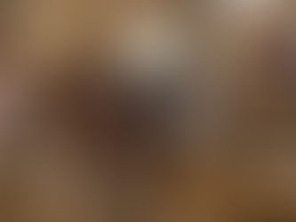 Austrian Reining Futurity & NRHA Show