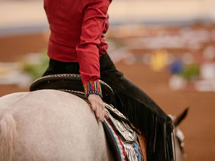 Die Punktegrenzen für das AQHA-Leveling 2026 sind jetzt online verfügbar