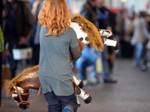 News_Pferdbodensee_16-01