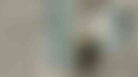 Salbei & Steinoptik sorgen für einen modernen Spa-Look – ruhig, natürlich und ideal für grossflächig