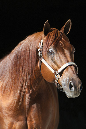 04c4165f-9605-4f70-ab29-574a2a771419